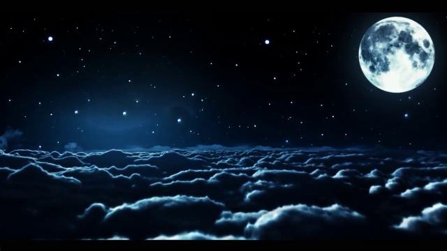 D'Une Ombre à l'Autre sing Francis Cabrel1